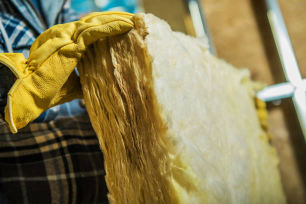 Professional Insulation Contractor in Bettendorf, IA