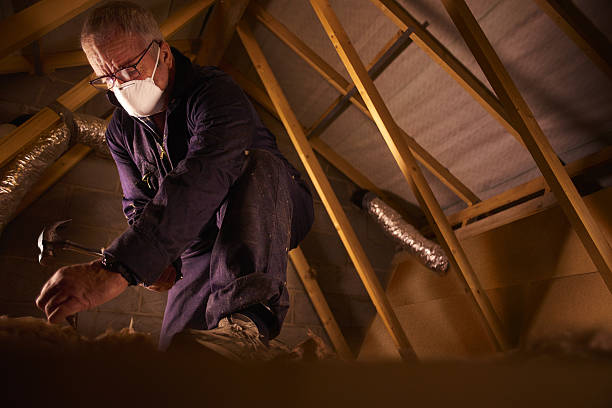 Best Insulation Maintenance and Repair in Bettendorf, IA